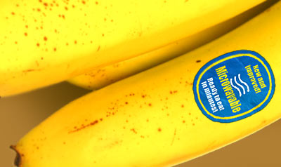 microwave banana